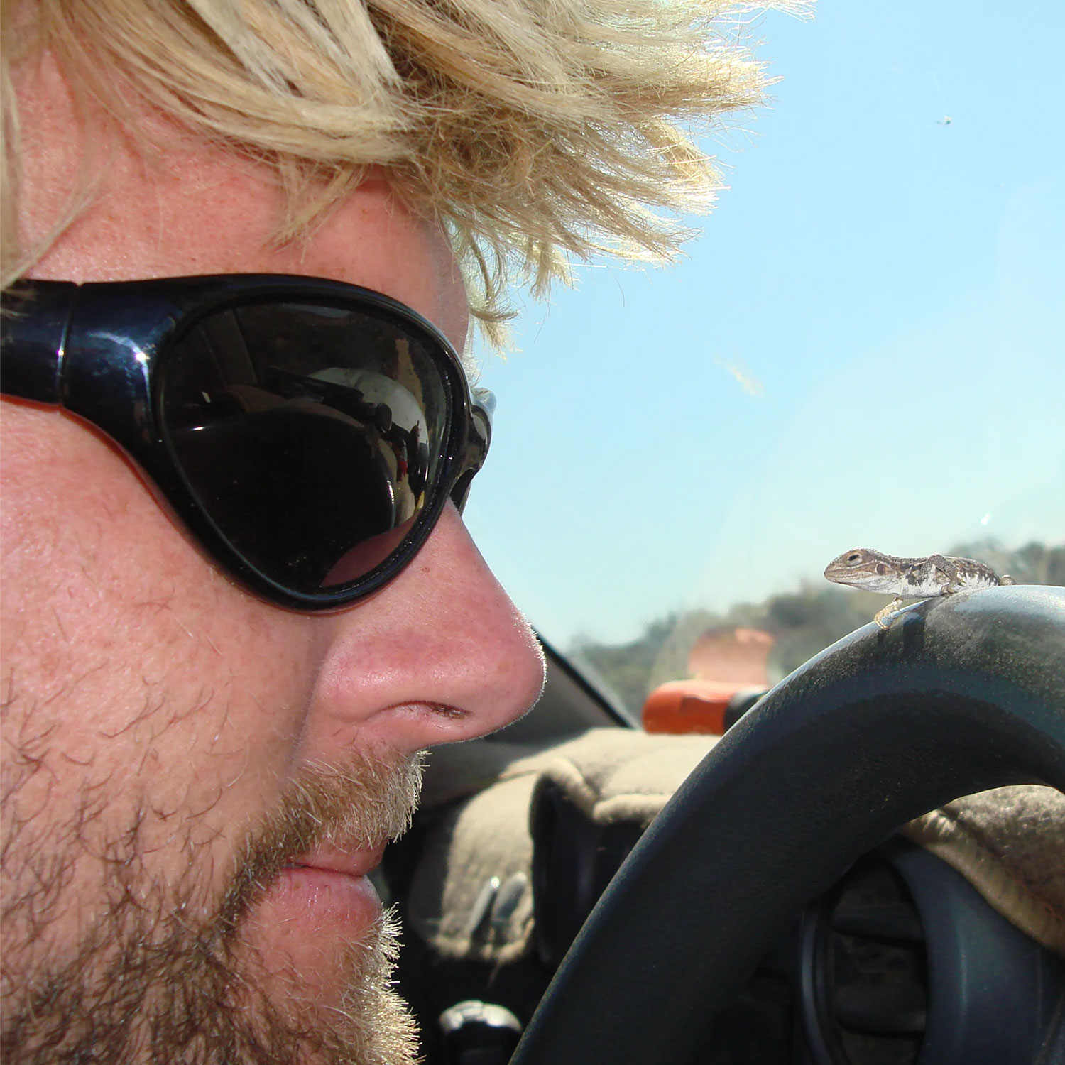 Ritual - Morphine - Matte Black / Blue Reflective Polarised - Image 5